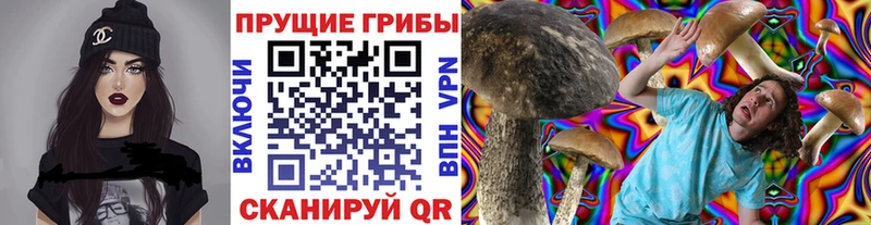 блэк спрут ONION  Светлый  Галлюциногенные грибы мухоморы 