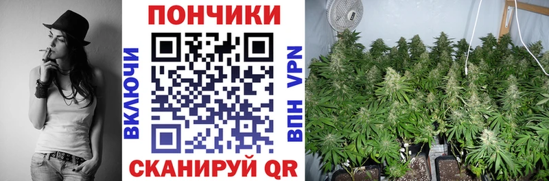 hydra ссылки  Светлый  Бошки Шишки марихуана  дарнет шоп 